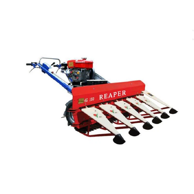 เครื่องเก็บเกี่ยวข้าวโพดแถวเดี่ยว